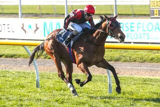 Miss Federer (NZ) All the Way in Canterbury Belle